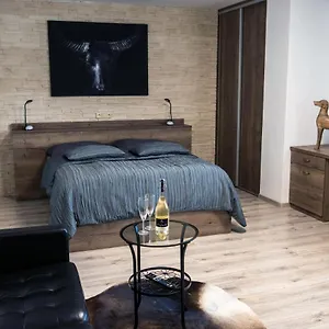 Bed & Breakfast Stracena Ostrava